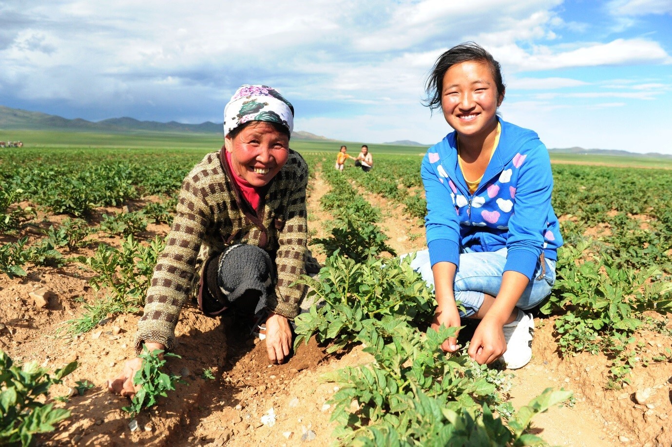 Mongolia farming