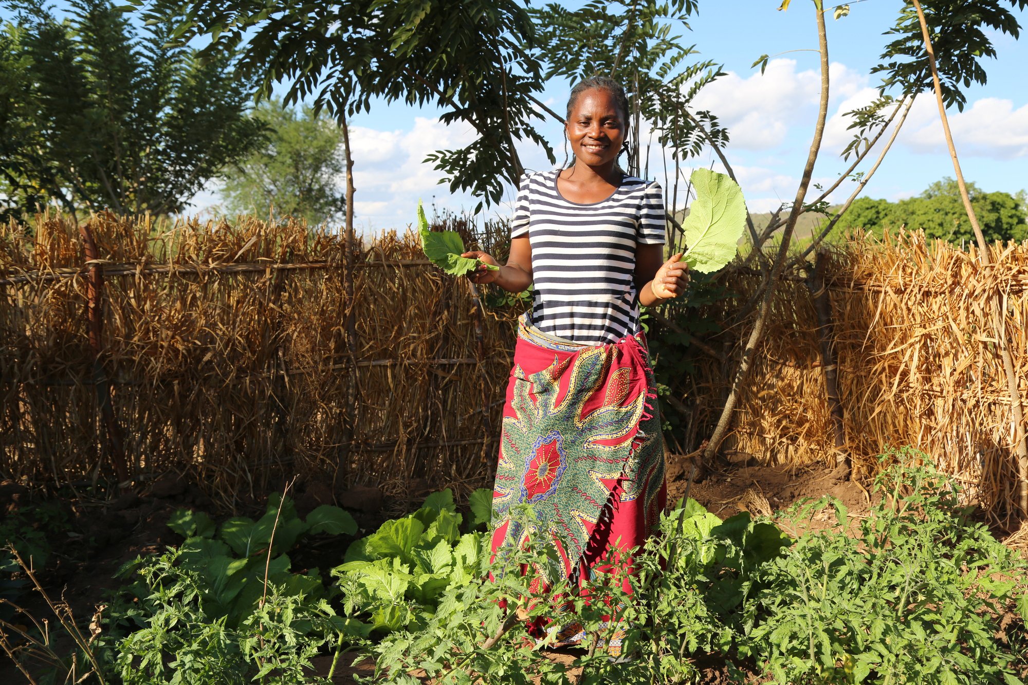 W232-0092-045-resized