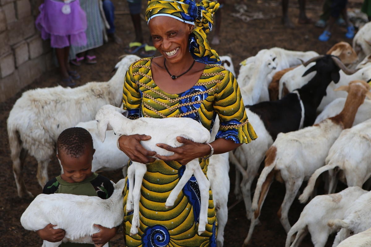 W335-0035-012_Medium_res