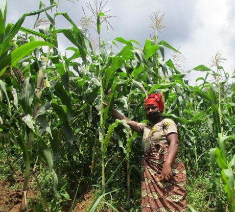 A boost for savings groups in Rwanda