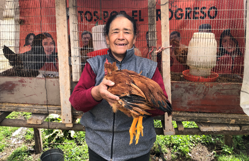 Against all odds, a farm prevails: a pandemic story