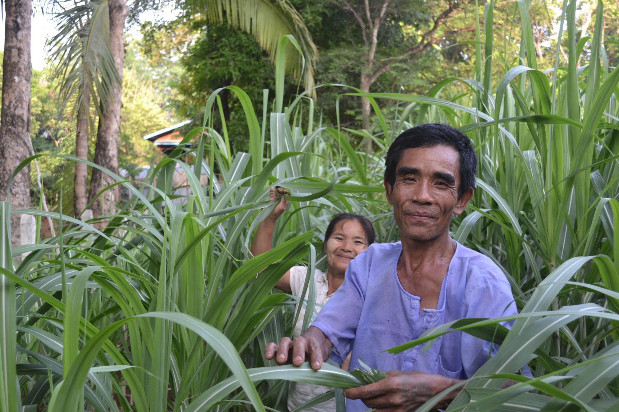 Struggle Turns to Joy