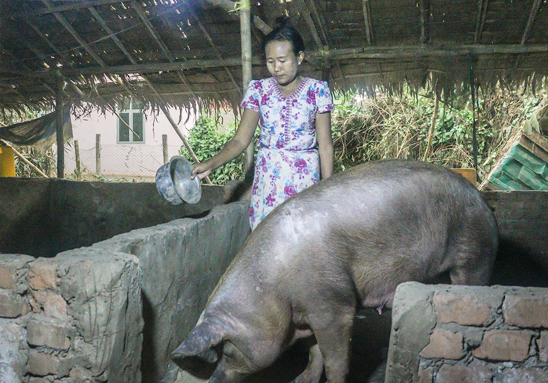 A Resilient Livestock Journey