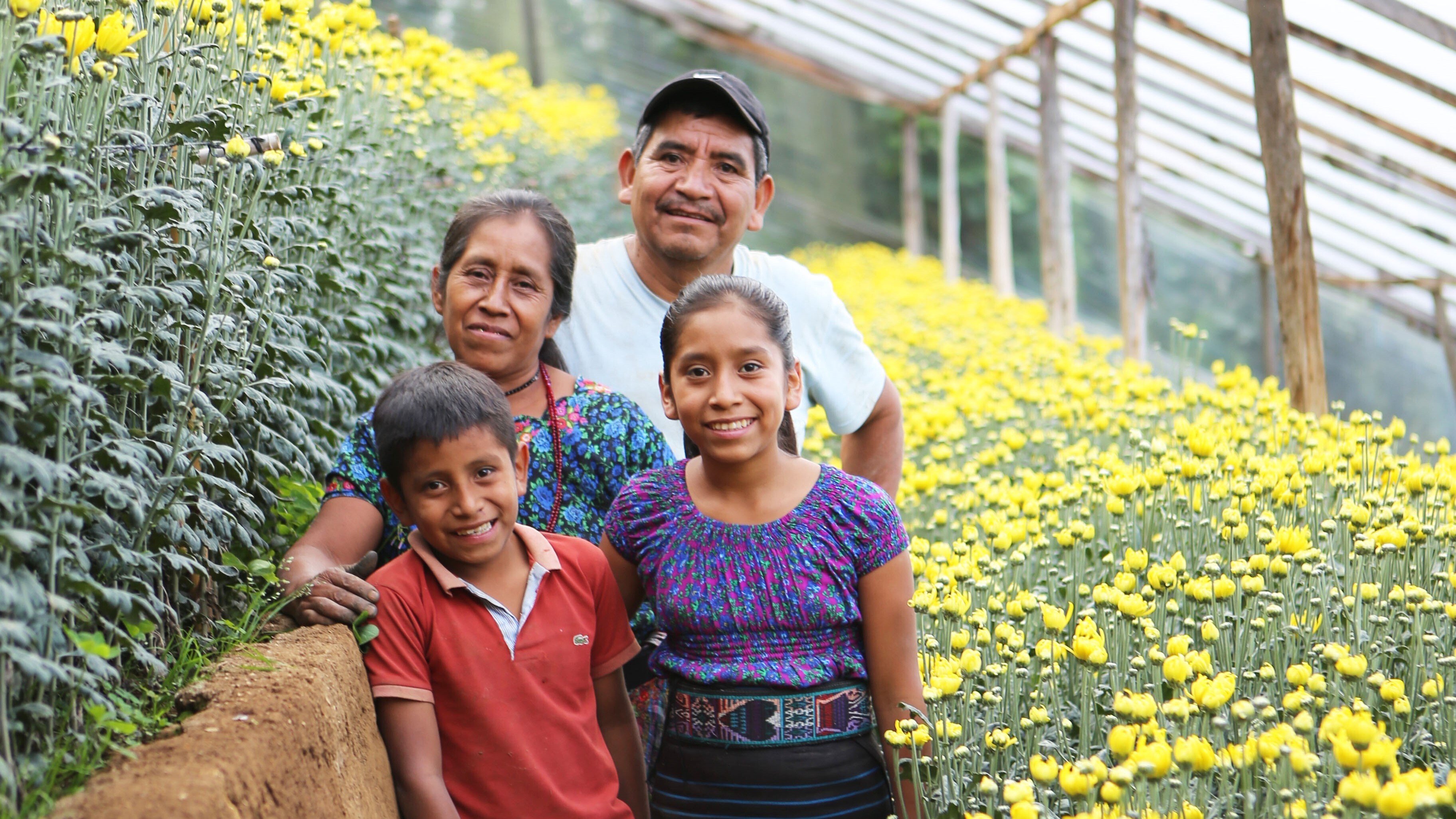 Flowers of Hope: Trinidad's Transformation and the Digital Revolution in Rural Guatemala