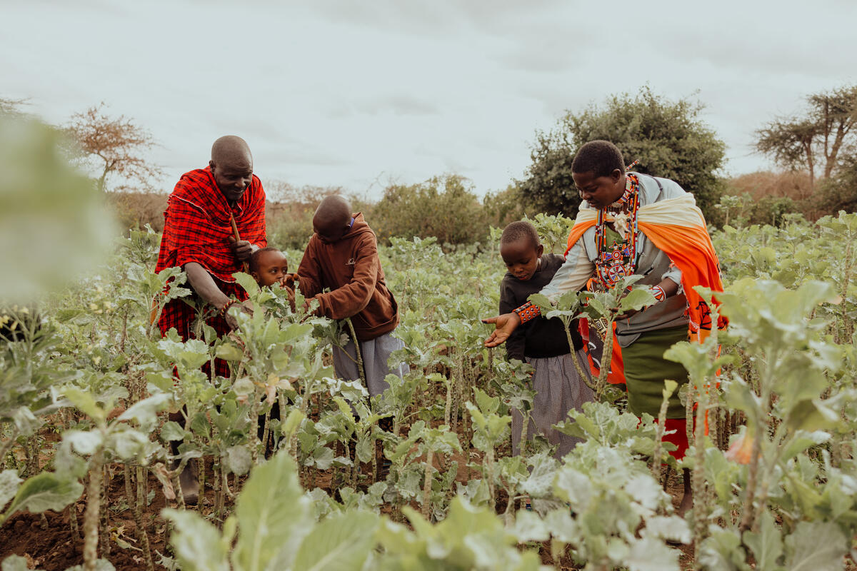 IBISA and VisionFund launch pioneering parametric climate insurance “ClimaCash+”    