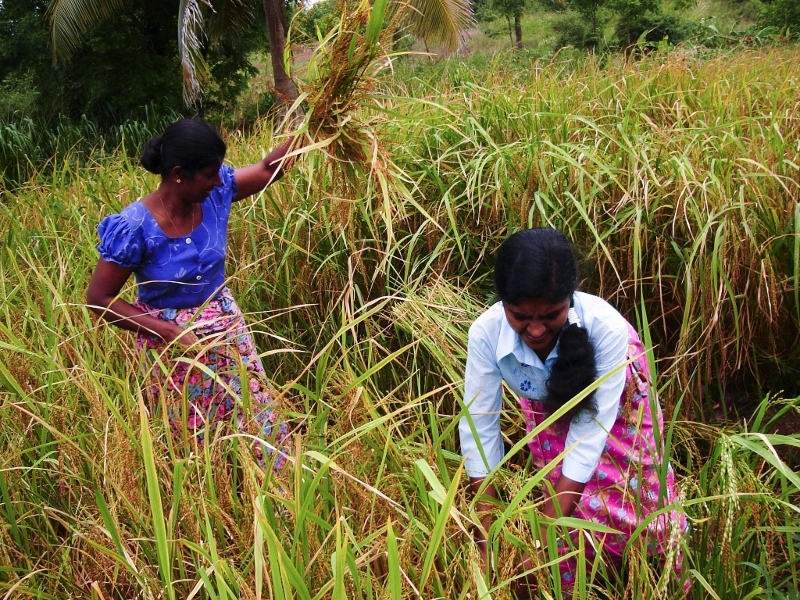 On The Road Again – Why The Rural Poor Go Underserved