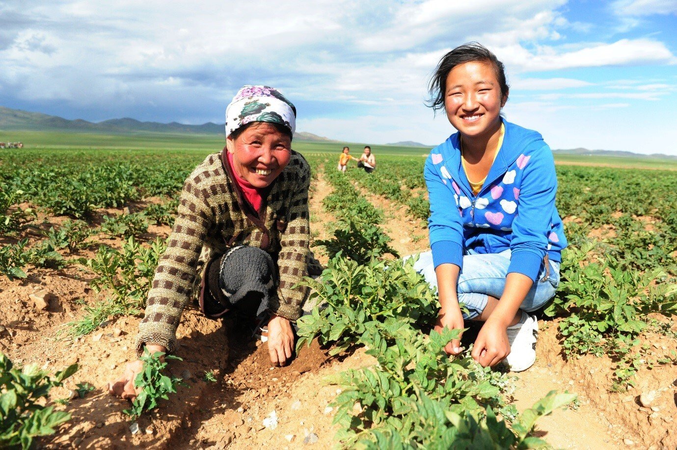 A Rural Regional Manager’s Story