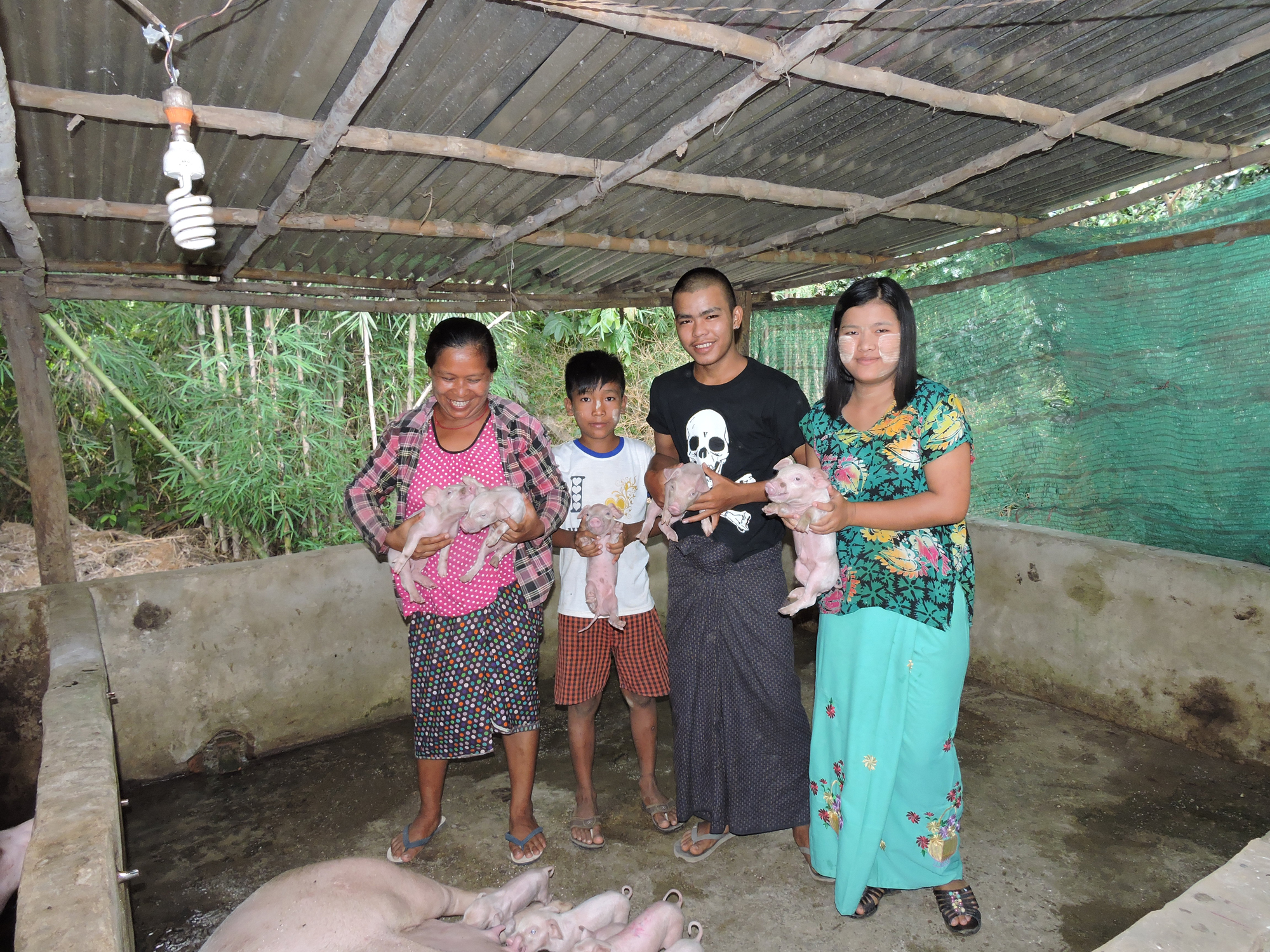 From plants to pigs – working hard to progress