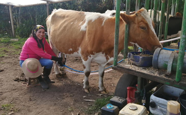 The bank of opportunities 