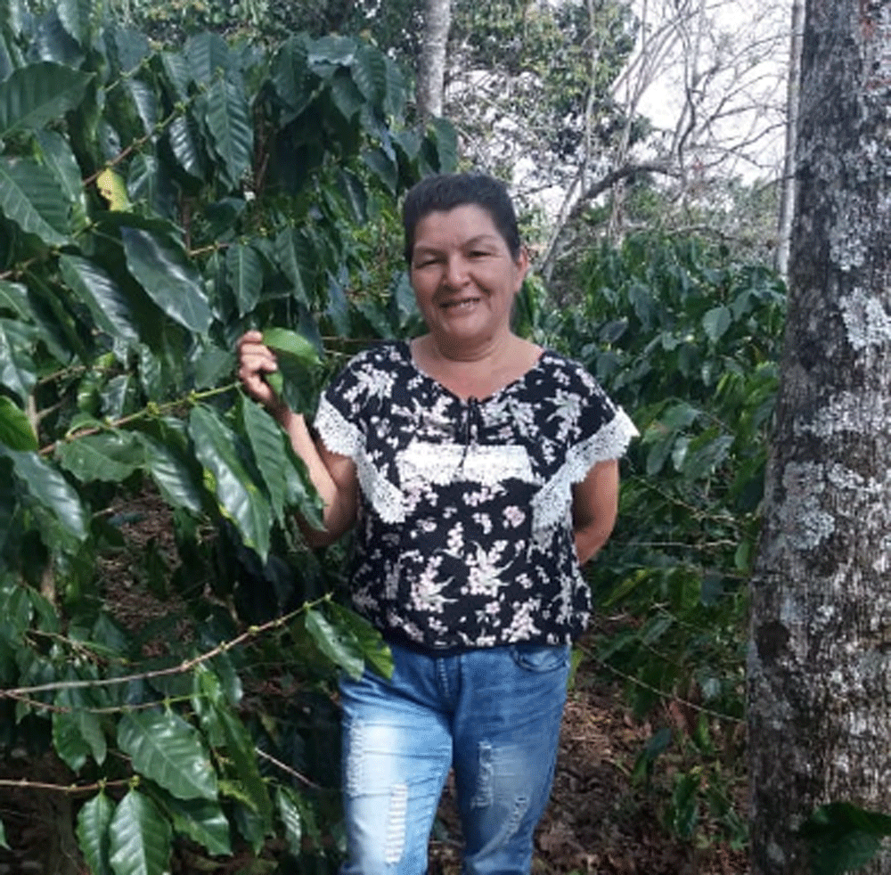 A Leader in Coffee Growing