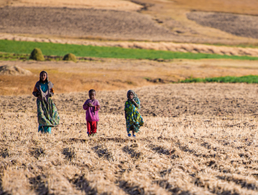 MicroInsurance is Not a Cost