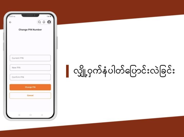 VFM Mobile App Change PIN 