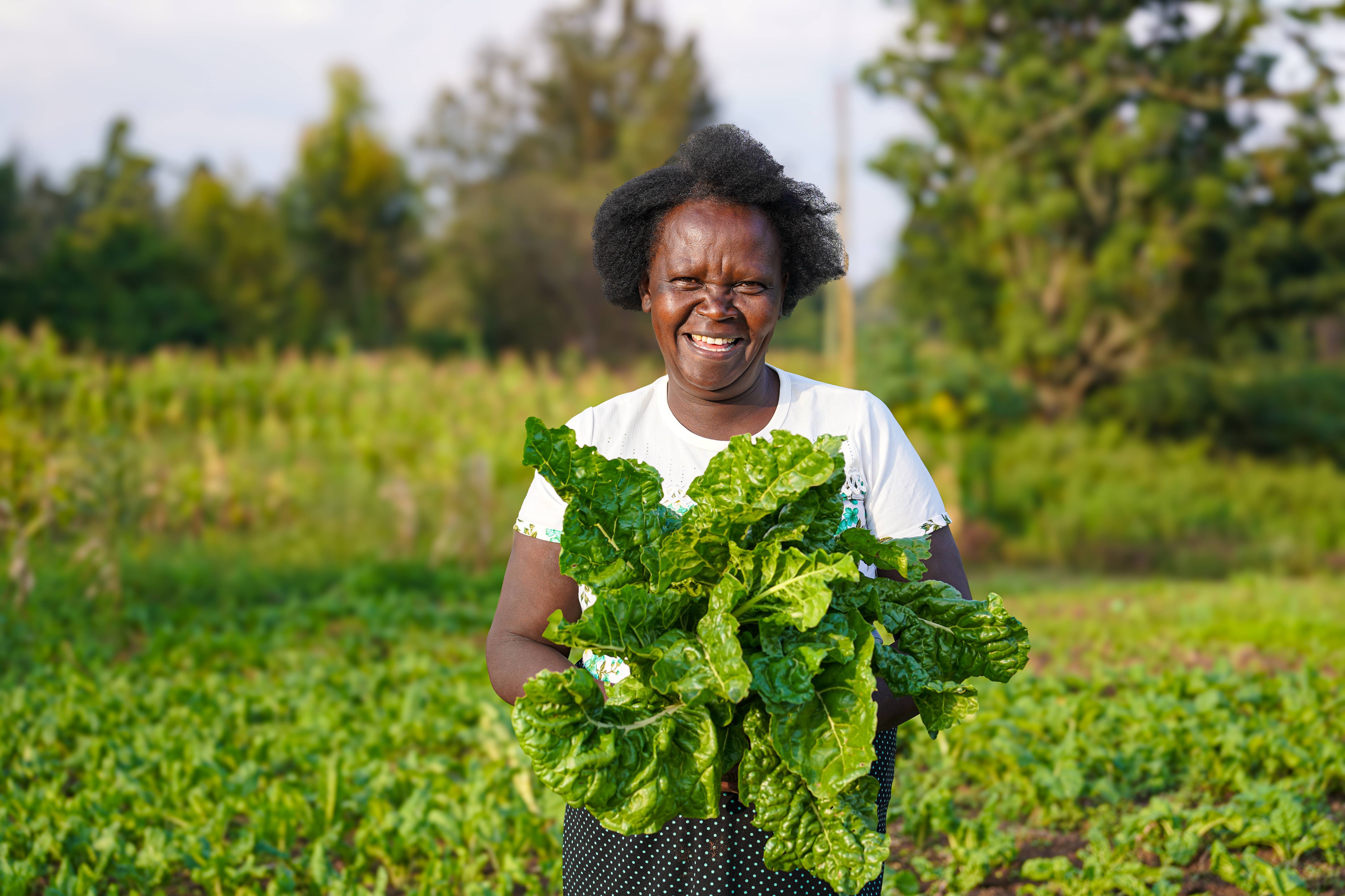 Planting hope, restoring dignity 